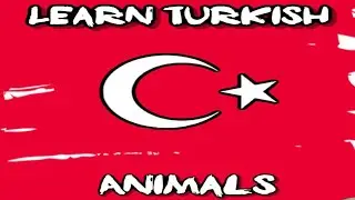 Turkish Lessons | Learn Turkish | Animals in Turkish