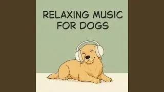 Music for Restless Puppies