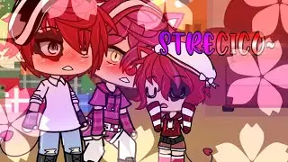 Stre...Catto...STRECICO!❣👁👄👁 (ispirato ad un tik tok)