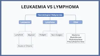 Leukaemia vs Lymphoma Explained