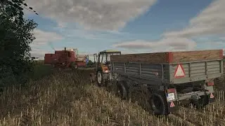 Żniwa rzepaku 2014 / Sucha Huta FS25