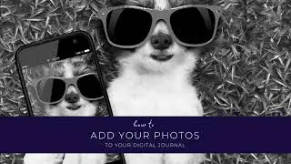 How to add photos to your digital journal