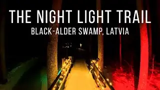 Night Lights Trail in the Frozen Swamp ❄️ -18&deg;C | Ķemeri National Park, Latvia (No Talking, 4K)