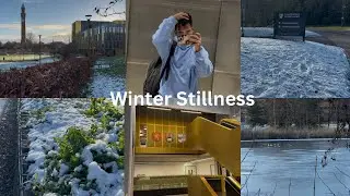 A Winter Morning: Snow, Study & Stillness #peace #dayinmylife #love #literature #moments #carpediem 