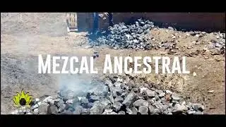 Proceso ANCESTRAL, Palenque 