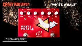 Crazy Tube Circuits WHITE WHALE - Demo by Alberto Barrero