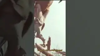 The Return of Mandalorian 2025 | Fan Film Inspired by Star Wars Universe Goodluckayan