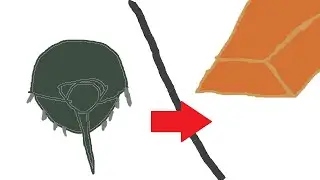 How to make a copper ingot(with horseshoe crabs)