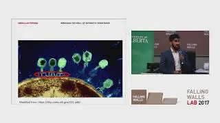 Breaking the Wall of Antibiotic Resistance with Phage Therapy: FWLab UAlberta 2017