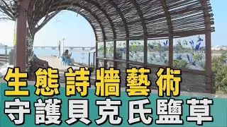 友善山海圳｜守護貝克氏鹽草棲地  公私協力藝起行動