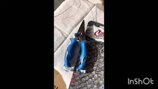 Review of GSM Outdoors, Cuda Products 5.25 Snips!