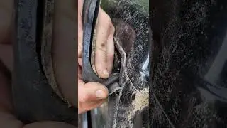 Jeep Comanche Rear Window Gasket Removal #jeep #jeepcomanche #comanche #jeeplife #howto #tutorial
