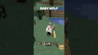 Baby Wolf, Wet | Minecraft #minecraft #minecraftupdate #minecraftmobs