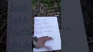 твой учитель по-английски #shorts #shortsfeed #funnyvideos #teacher #english #short #video