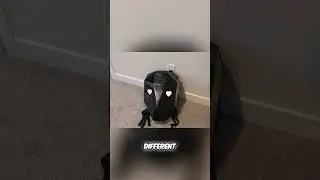 DIY LED Backpack: Unleash Your Creativity with This App! #shorts