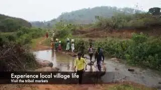 Authentic Travel Experiences in Odisha India