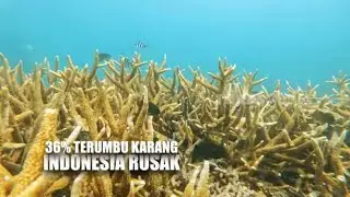 MENGUJI TANTANGAN ALAM LERENG SLAMET | JEJAK PETUALANG (18/01/25) Part 3
