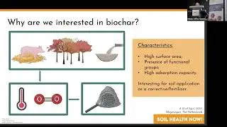 Enhancing Nutrient Efficiency: Adsorption and Release Kinetics of Vineyard Prunings Biochar