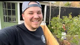 Turning Coleus Into Topiary, Planting Calendula, Tomato update! 🍅🪦 || Visit Our Garden