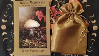 Mystic Mushrooms Deck Review!