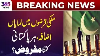 Significant Rise in National Debt: How Much is Every Pakistani in Debt? | 365 Plus