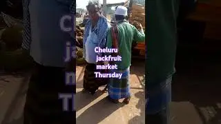 Cheluru jackfruit market Thursday 2025 @ indian jackfruit