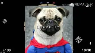 v&iacute;deo zueiro