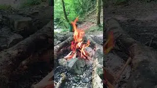 Агурское ущелье в #Сочи. #shorts #travelvlog #loud #travel #traveltogether #sochi
