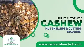 Fully Automatic Cashew Cutting Machine & Nut Shelling Machine | Cashew Processing Line