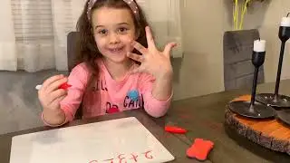 Wild Accessories Dry Erase Mini Writing Lap Boards Reusable and Portable for Learning Kids & Adults.