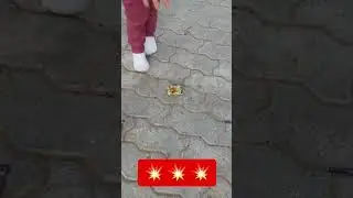💥EXPLOSIVE SOUNDS🤪#shorts #scary #pop #kidsvideo #youtubeshorts #viral #funny #trending #toys