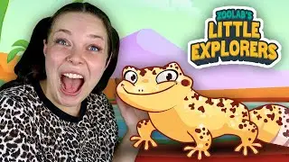 ZooLab's Little Explorers - Meet a Gecko with Eilidh | Songs, crafts, and storytime!