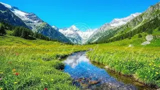Nature Healing Music 🌿 Release Anxiety, Healing Sanctuary for Inner Peace & Water Sounds
