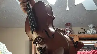 Violin lesson tomorrow