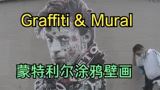 Montreal Graffiti and Mural 2021 蒙特利尔壁画涂鸦&mdash;&mdash;加拿大海哥Hihai Montreal Canada