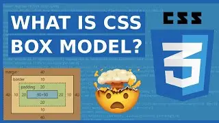 What Is CSS Box Model? #css #css3 #learncss
