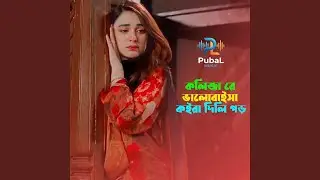 Koliza Re Valobesha Koira Dili Por