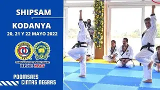 #Kodanya 2022 Shipsam o Sip Sam 1/2 #poomsae #MooDukKwan #BlueMatAcademy #taekwondo