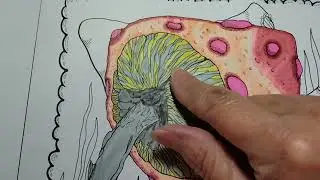 5 below blending markers. Such a pretty page! 