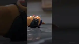 Slow Mo EPIC FAIL: Tactical Hamster Parkour Ragdoll on Kitchen Counter 😱