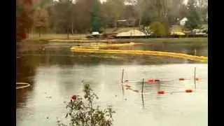 Mirror Lake restoration