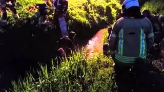 Paard in de sloot Achthuizen
