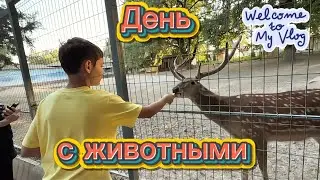 ТАШКЕНТСКИЙ ЗООПАРК #УЗБЕКИСТАН #life #vlog #zoo #tashkent #uzbekistan #fun 