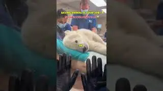 I Found a POLAR BEAR Trapped in a Forest Fire 🐻&zwj;❄️🔥 #shortsviral #animals #rescue