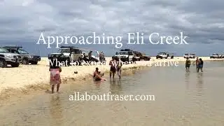 Approaching Eli Creek From The South - What To Be Aware Of When You Arrive | All About Fraser Island