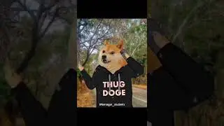 THUG LIFE OF DOG 😂 Funny video // Dog life thug//cheems