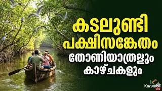 കടലുണ്ടിയിലെ അത്ഭുത കാഴ്ചകൾ! കണ്ടൽക്കാടുകൾക്കിടയിലൂടെ ഒരു തോണിയാത്ര | Kadalundi Bird Sanctuary Tour