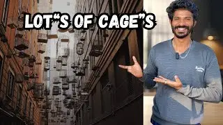 കുറഞ്ഞ ചിലവിൽ കൂടുതൽ cage 🥰.simple low cost cages #viralvideo #shortsvideo
