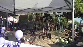 Eureka Arts Alive 2018