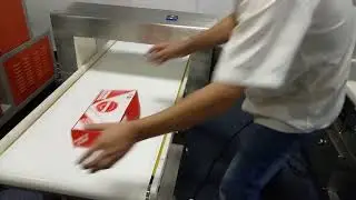 video Metal Detector(tunnel 50x20cm)